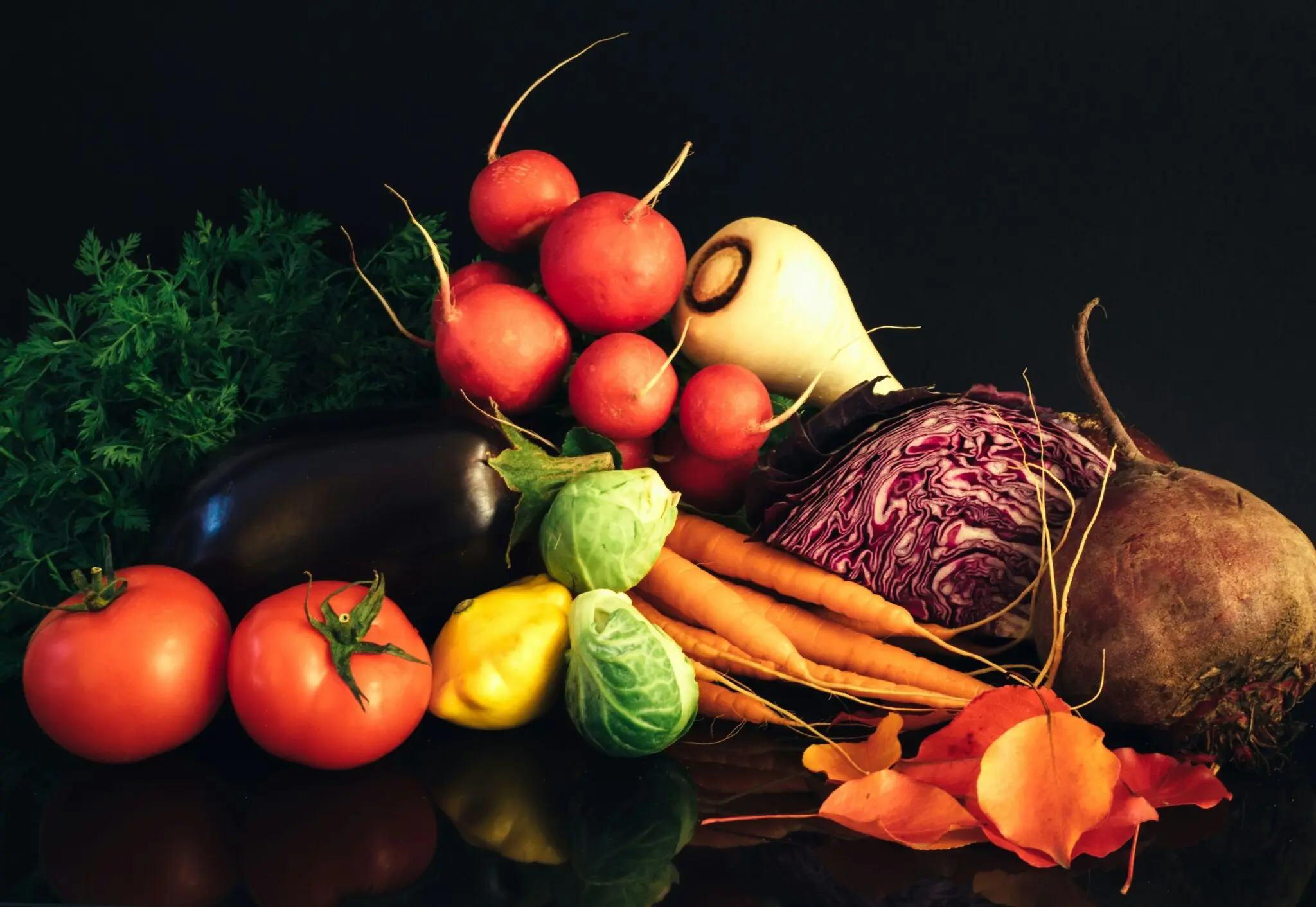 dieta para longevidad