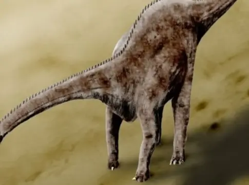 diplodocus