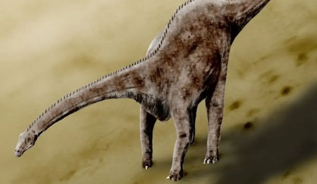 diplodocus