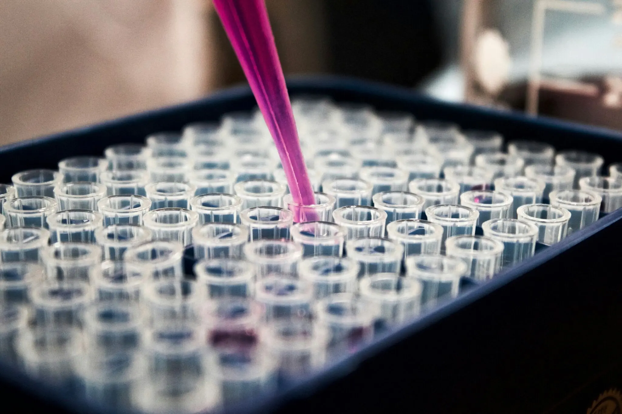 CNIO descubre la clave de la metástasis cerebral: así sobreviven las células tumorales 1 Merca2 talón de Aquiles cáncer