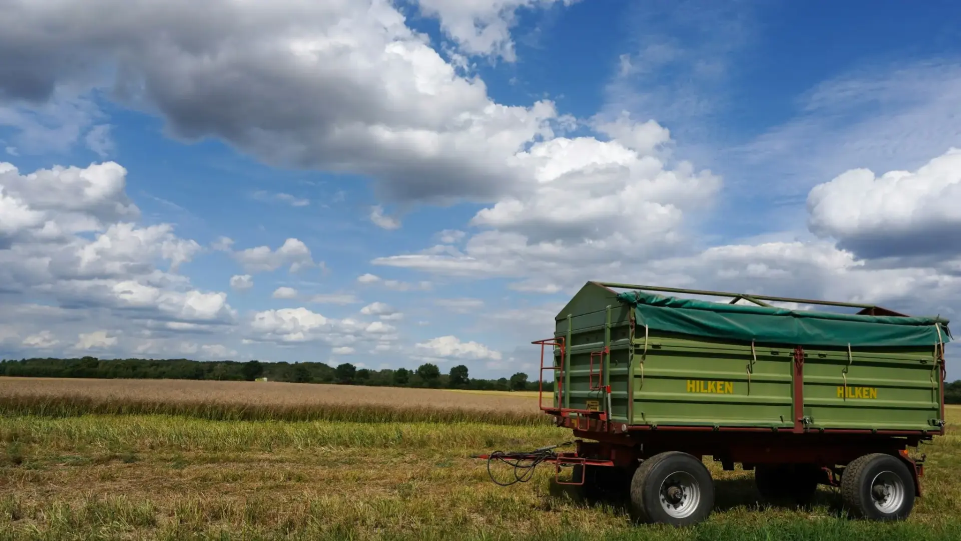 nestle-agricultura-regenerativ-nestle-sostenibilida-1 Nestlé sostenibilidad