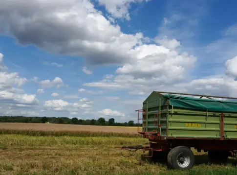 nestle-agricultura-regenerativ-nestle-sostenibilida-1 Nestlé sostenibilidad