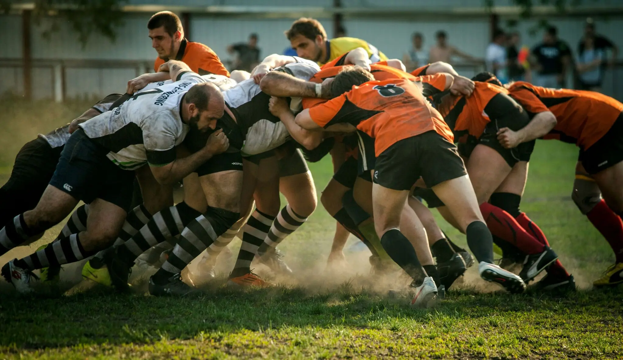 nutrición de rugby profesional