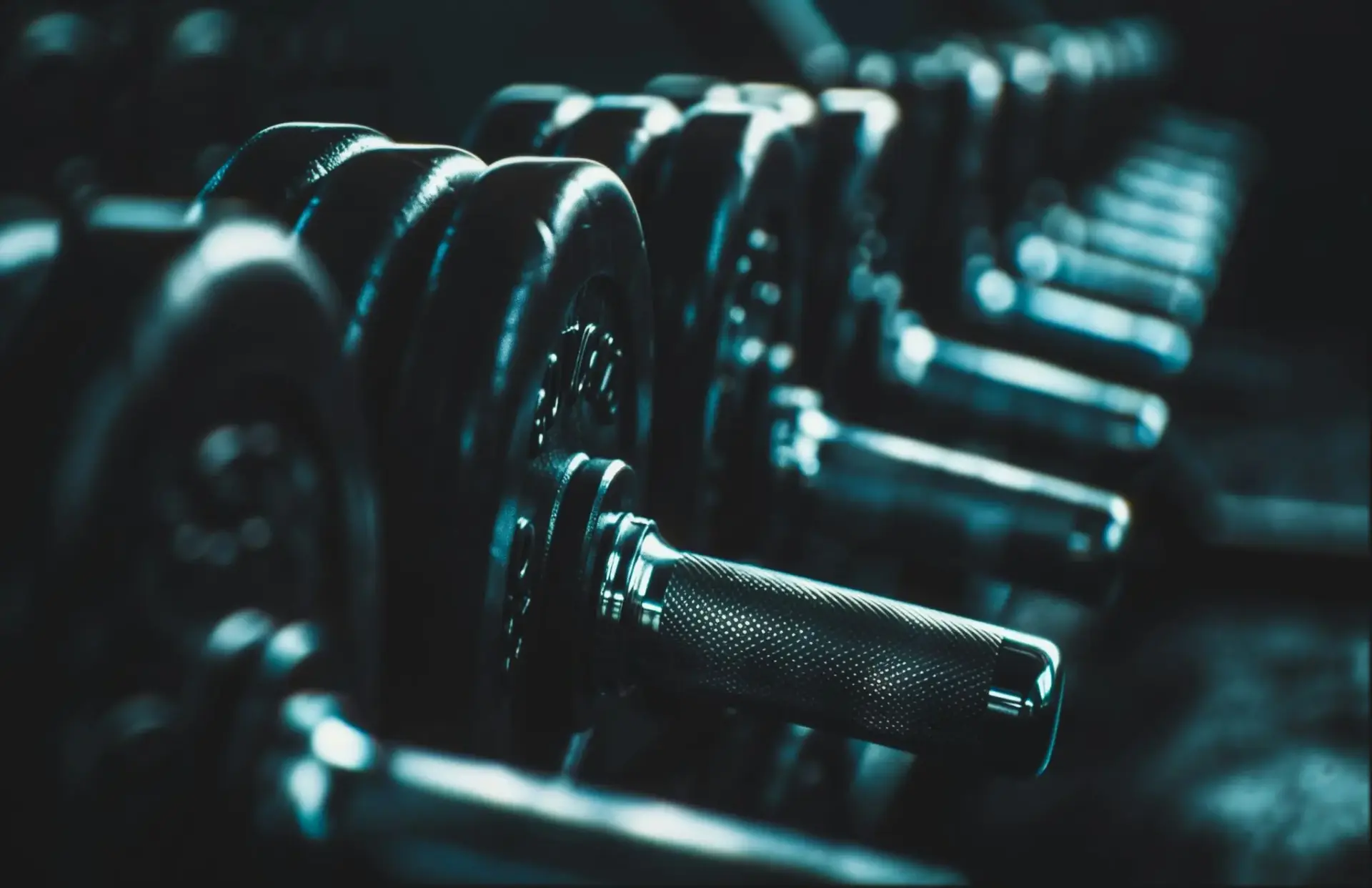 pesas-hiit-core-fuerza-aerobica-40-portada pesas y HIIT