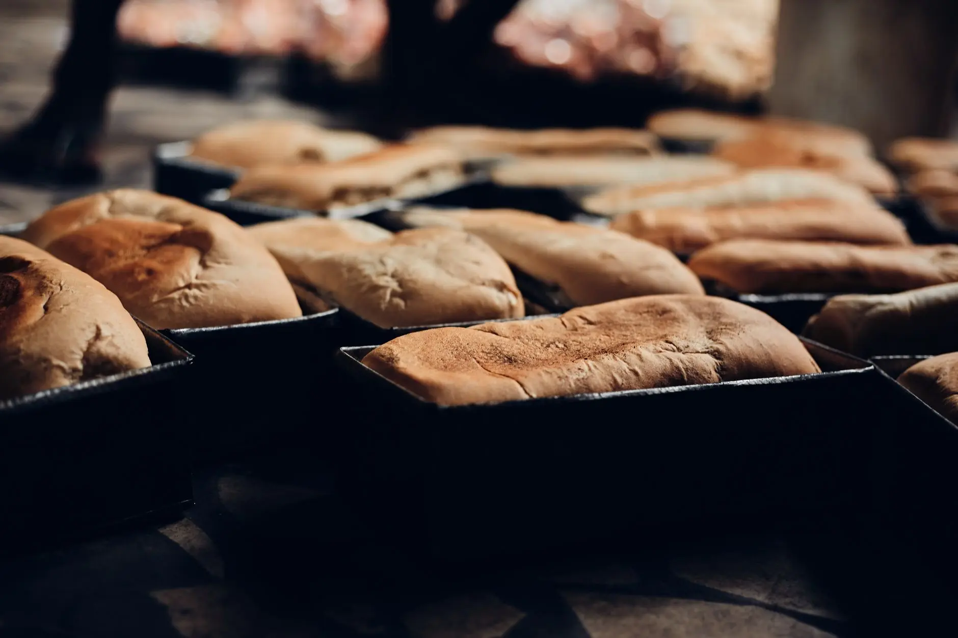 Consumo cambia las etiquetas de los supermercados: 5 productos que perderán la calificación de "saludables" en octubre 9 Merca2 Panes recién horneados enfriándose en una panadería con un ambiente cálido y acogedor.