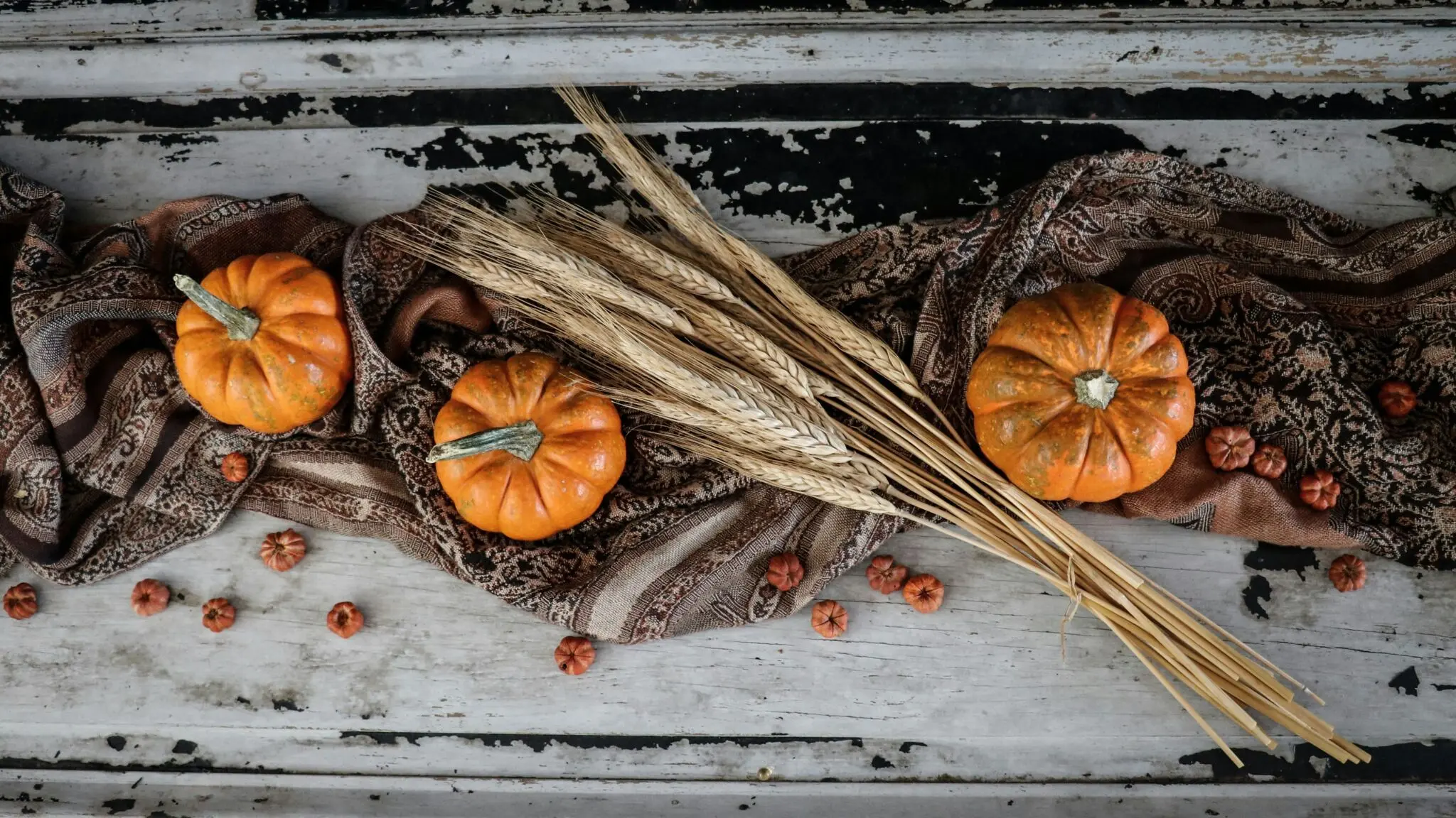 Propiedades de la calabaza: vitamina C, carotenoides y pocas calorías para rendir en otoño 1 Merca2 calabaza vitamina C
