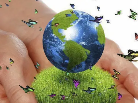 La Comunidad de Madrid programa más de 200 actividades ambientales gratuitas hasta diciembre La Comunidad de Madrid programa más de 200 actividades ambientales gratuitas hasta diciembre