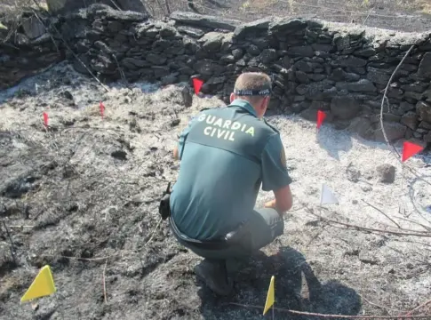 Agente junto a terreno quemado Agente de la Guardia Civil observa un terreno quemado señalizado con banderines.