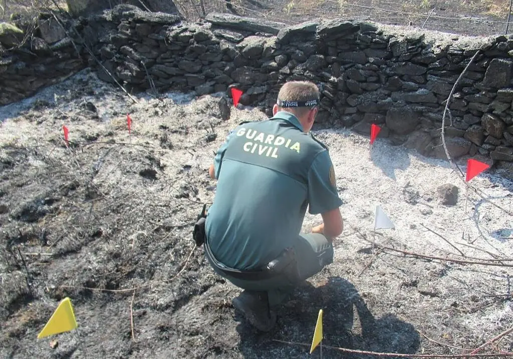 Agente junto a terreno quemado Agente de la Guardia Civil observa un terreno quemado señalizado con banderines.