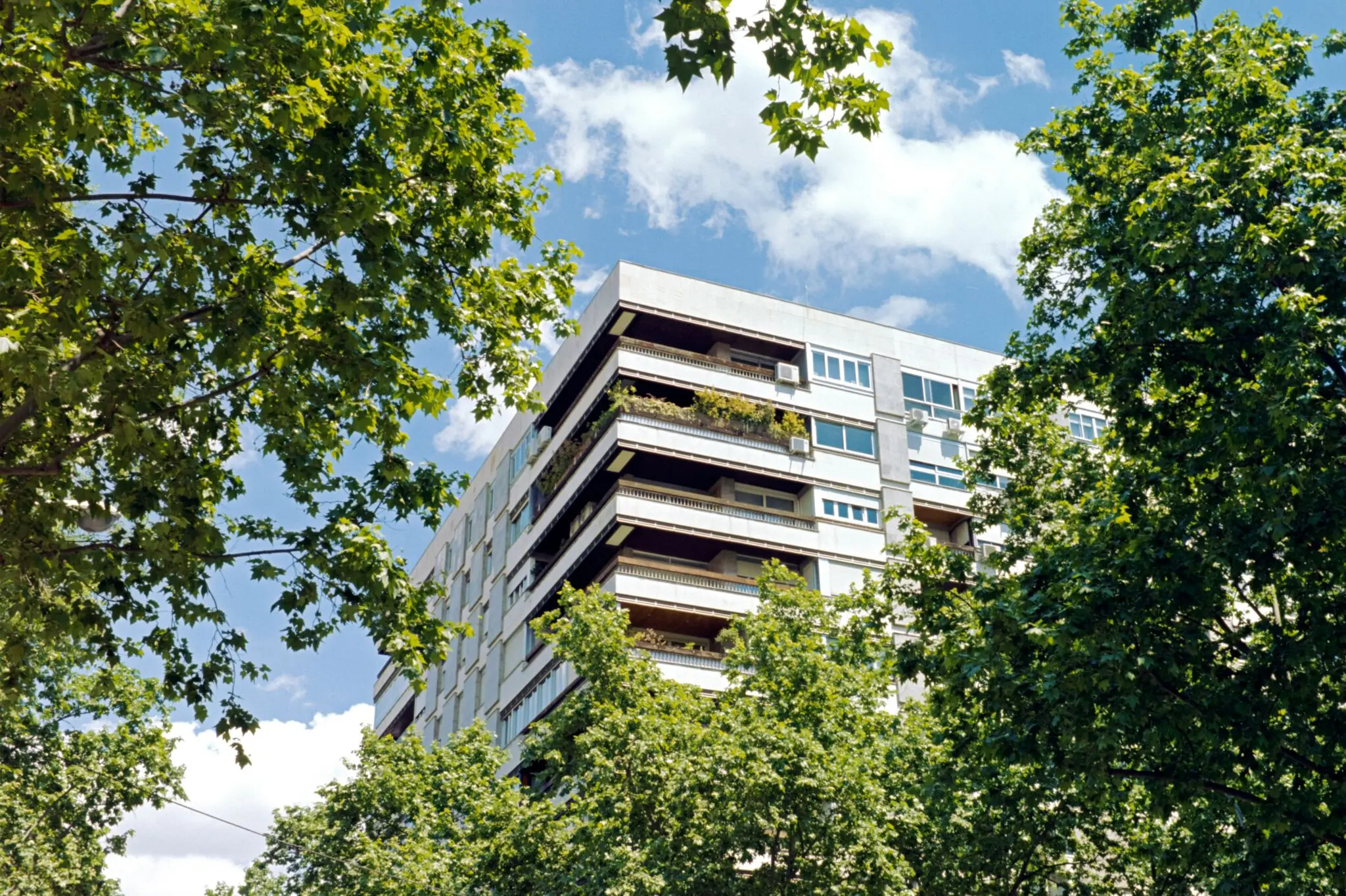 emergencia de la vivienda