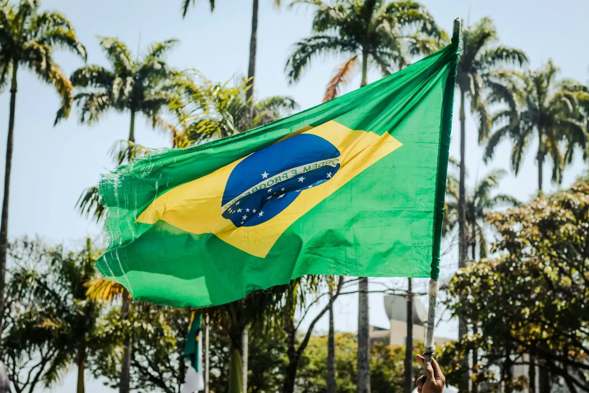Bandera de Brasil frente a palmeras activos brasileños Lula