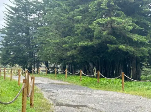 Camino delimitado entre árboles Camino de grava entre árboles, delimitado por postes de madera y cuerdas