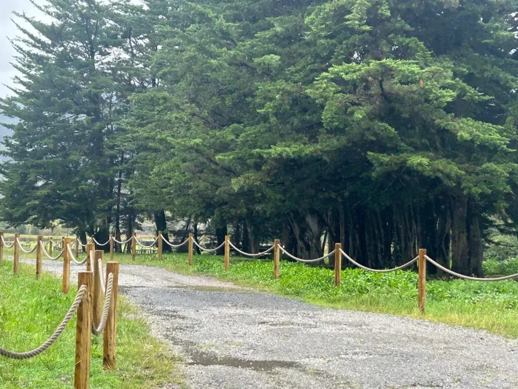 Camino de grava entre árboles, delimitado por postes de madera y cuerdas