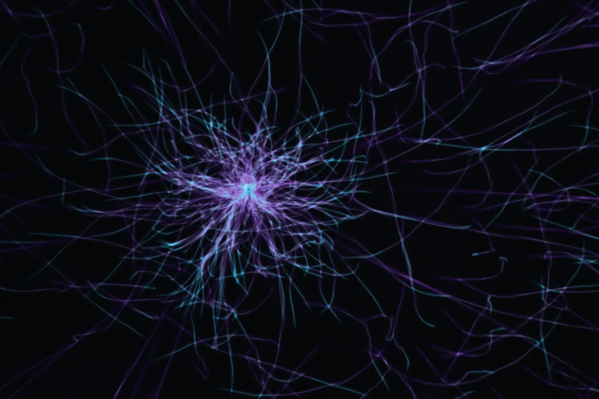 cerebro control movimiento