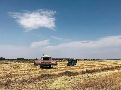 Maquinaria agrícola en un campo cosechado Una cosechadora y un tractor trabajan en un campo de cereal bajo un cielo parcialmente nublado