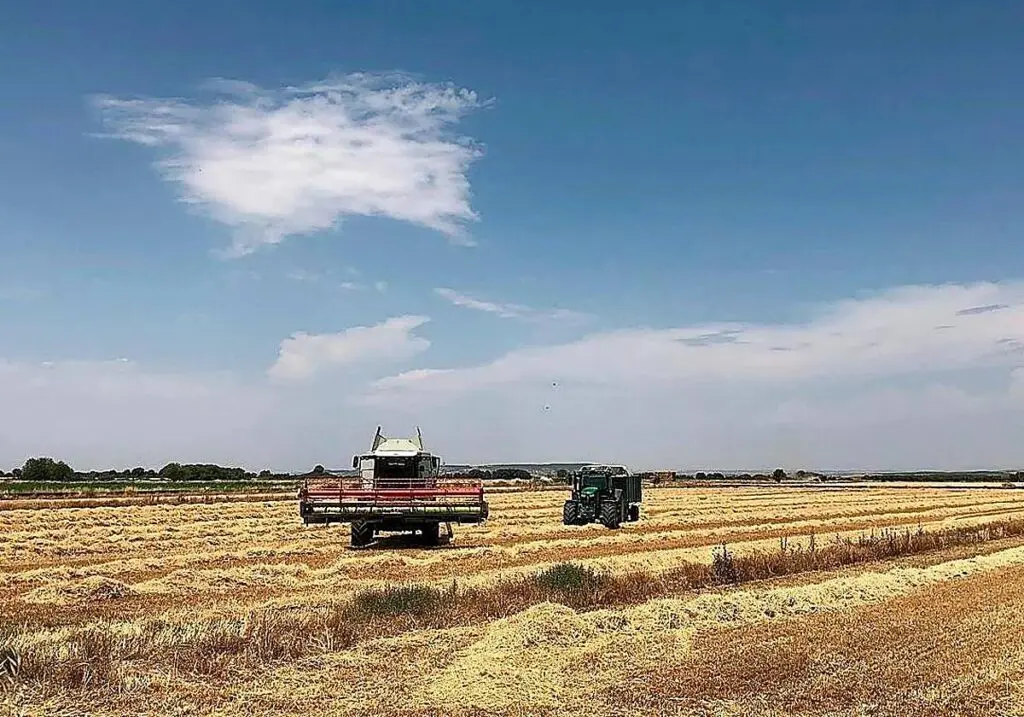 Maquinaria agrícola en un campo cosechado Una cosechadora y un tractor trabajan en un campo de cereal bajo un cielo parcialmente nublado