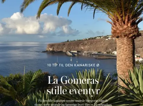 Bahía y puerto de La Gomera Bahía de La Gomera con embarcaciones, acantilado y palmera en primer plano