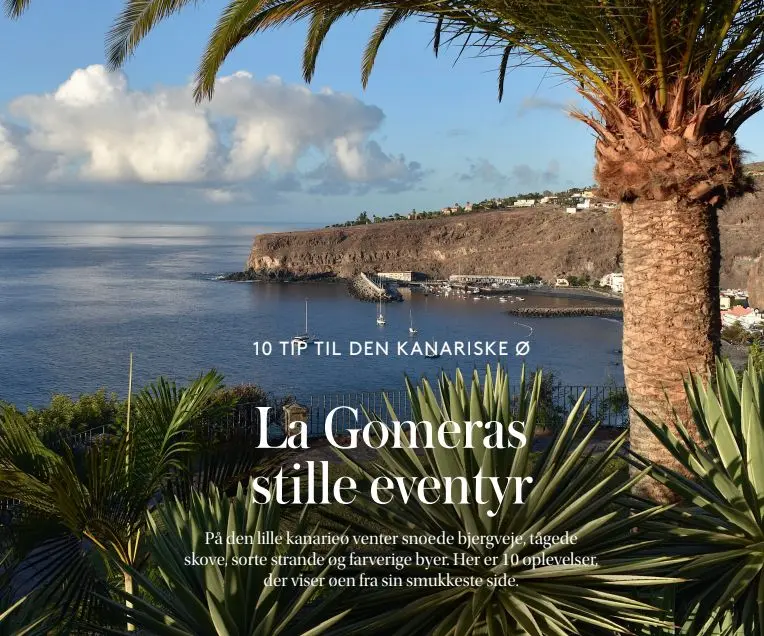 Bahía de La Gomera con embarcaciones, acantilado y palmera en primer plano