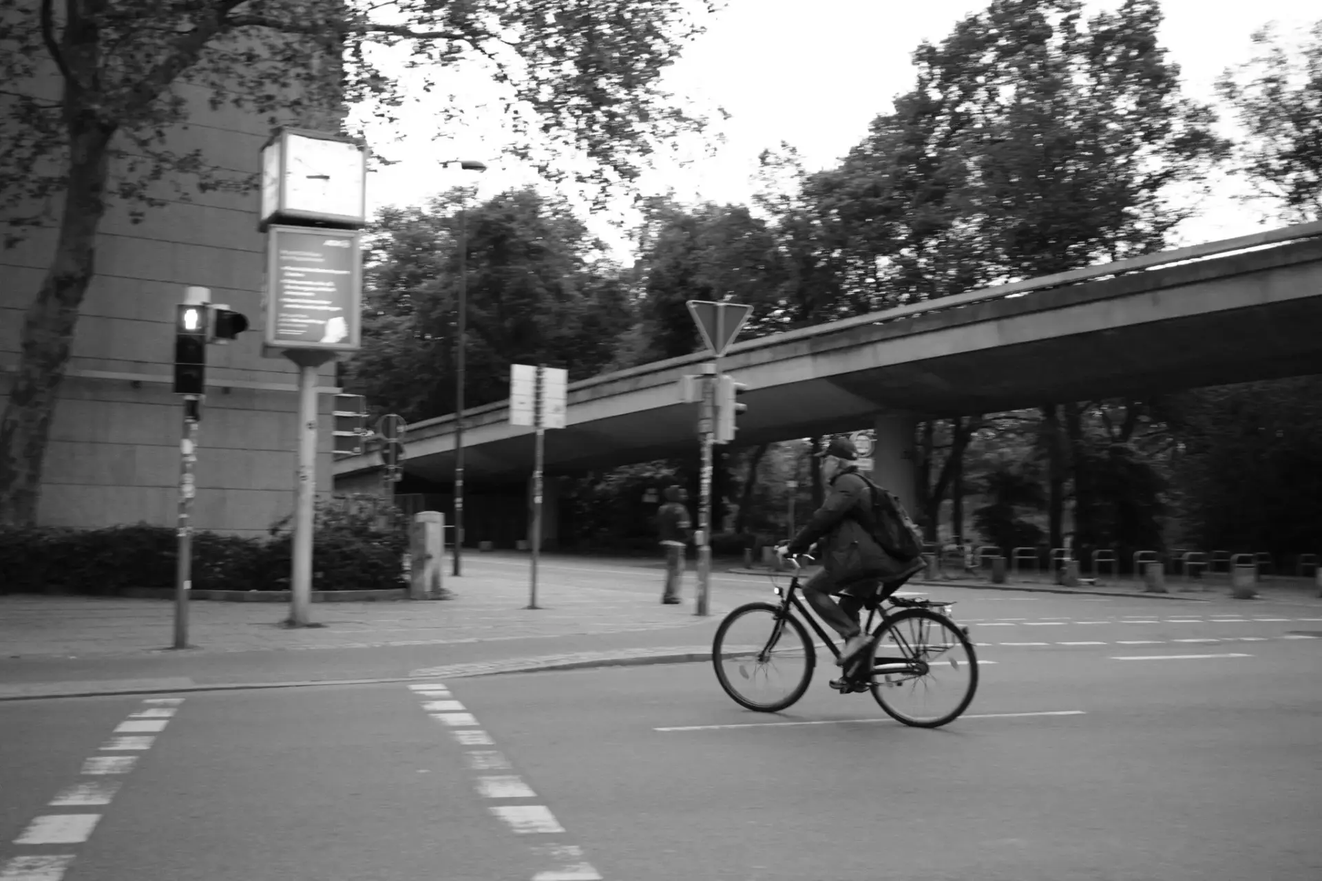 dgt-multa-paso-cebra-bici-portada multa paso de cebra bici