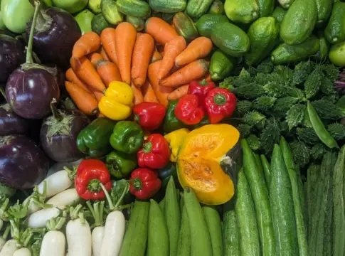 diversidad-vegetal-microbiota-energia-portada diversidad vegetal microbiota