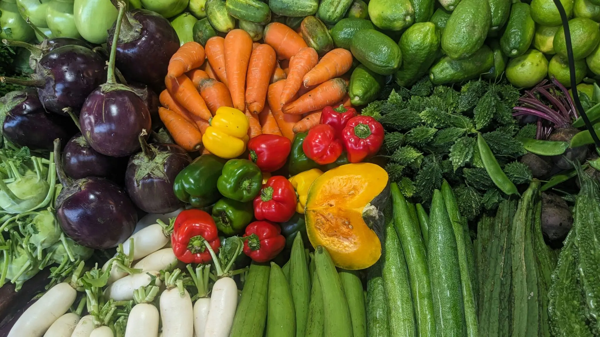 diversidad vegetal microbiota