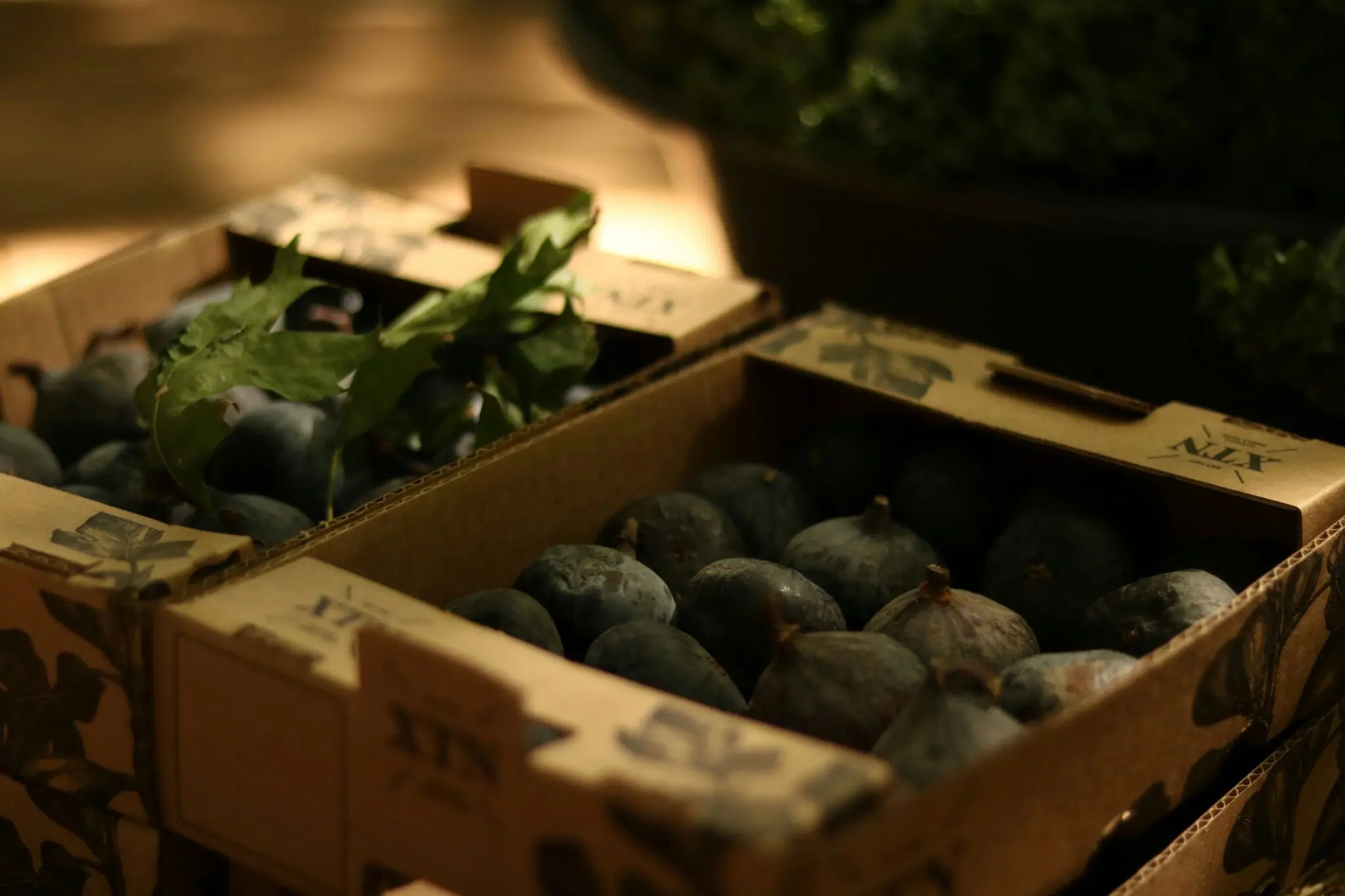 Smurfit Westrock refuerza en Fruit Attraction 2026 sus envases hortofrutícolas para toda la cadena 1 Merca2 Smurfit Westrock España
