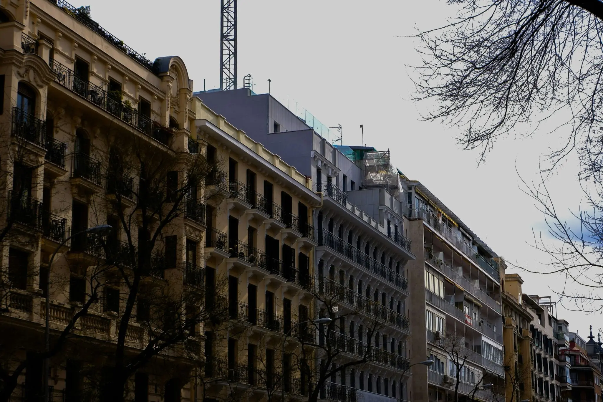 competencia vivienda alquiler
