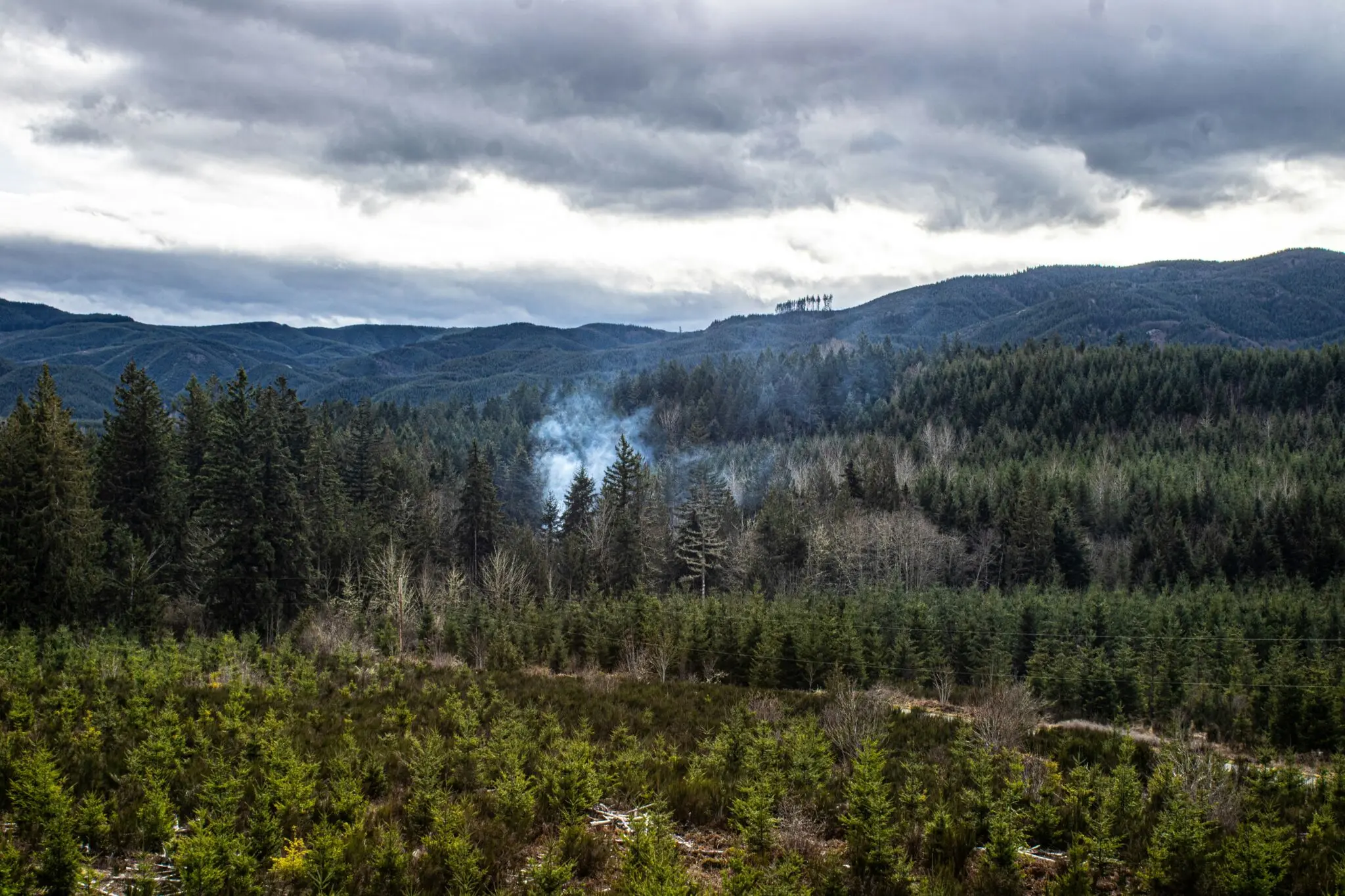 incendios Indonesia