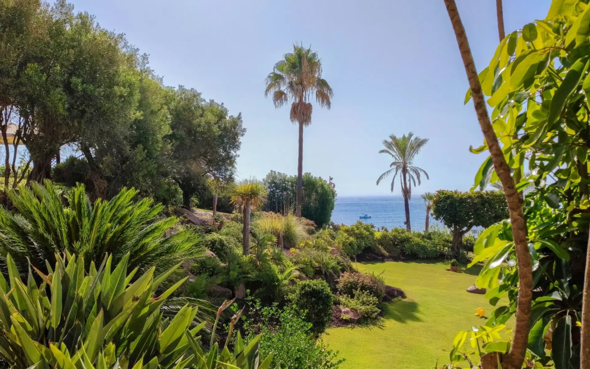 Jardín costero con palmeras y vistas al mar Térmica Beach Málaga