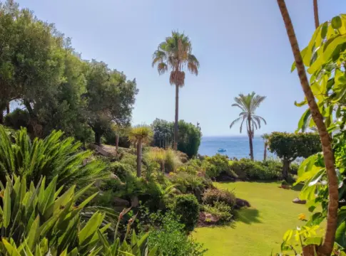 Jardín costero con palmeras y vistas al mar Térmica Beach Málaga