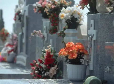 Lápidas adornadas con flores Flores de colores adornan varias lápidas de piedra en un cementerio.