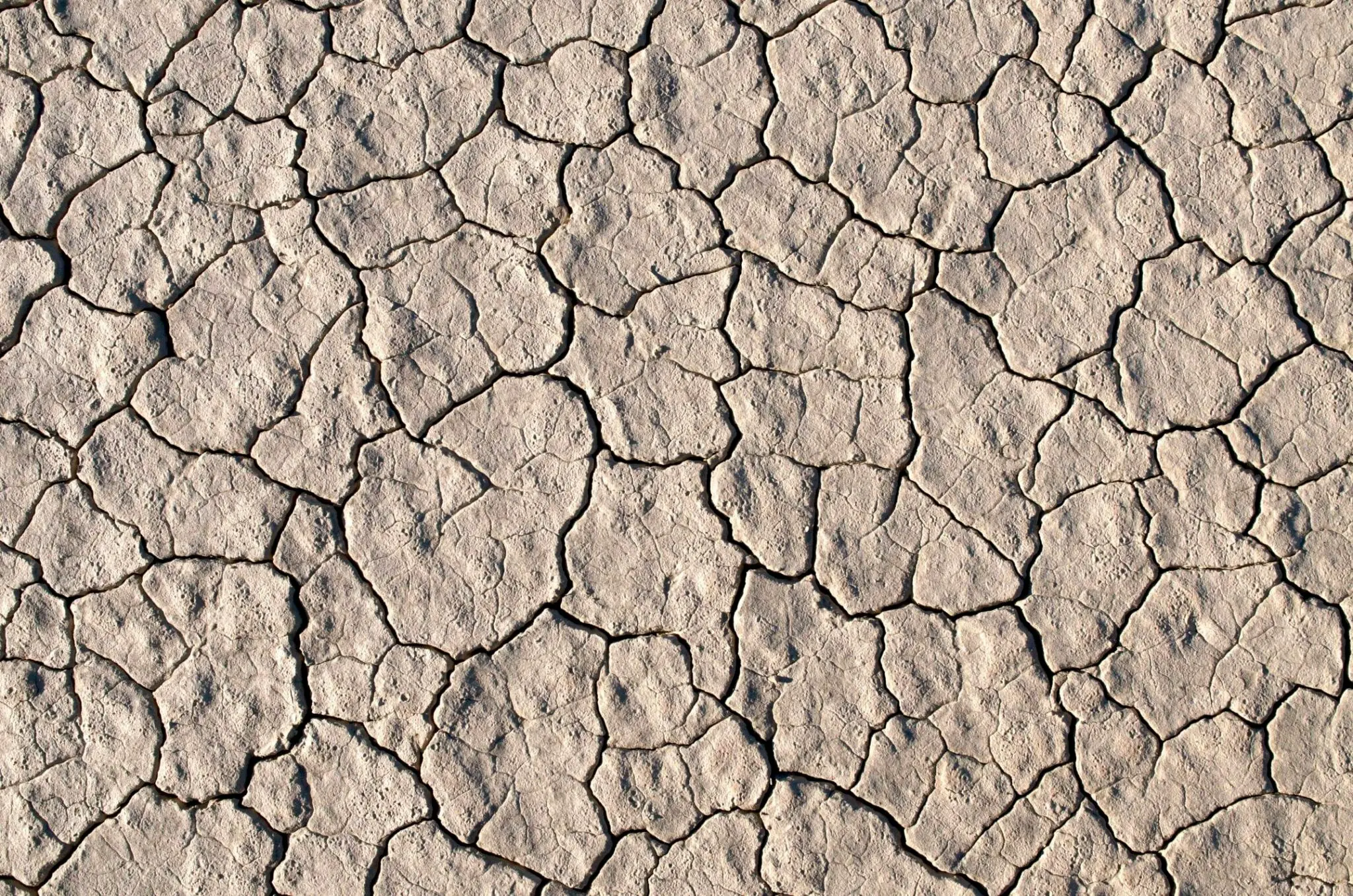 límite 1,5 °C