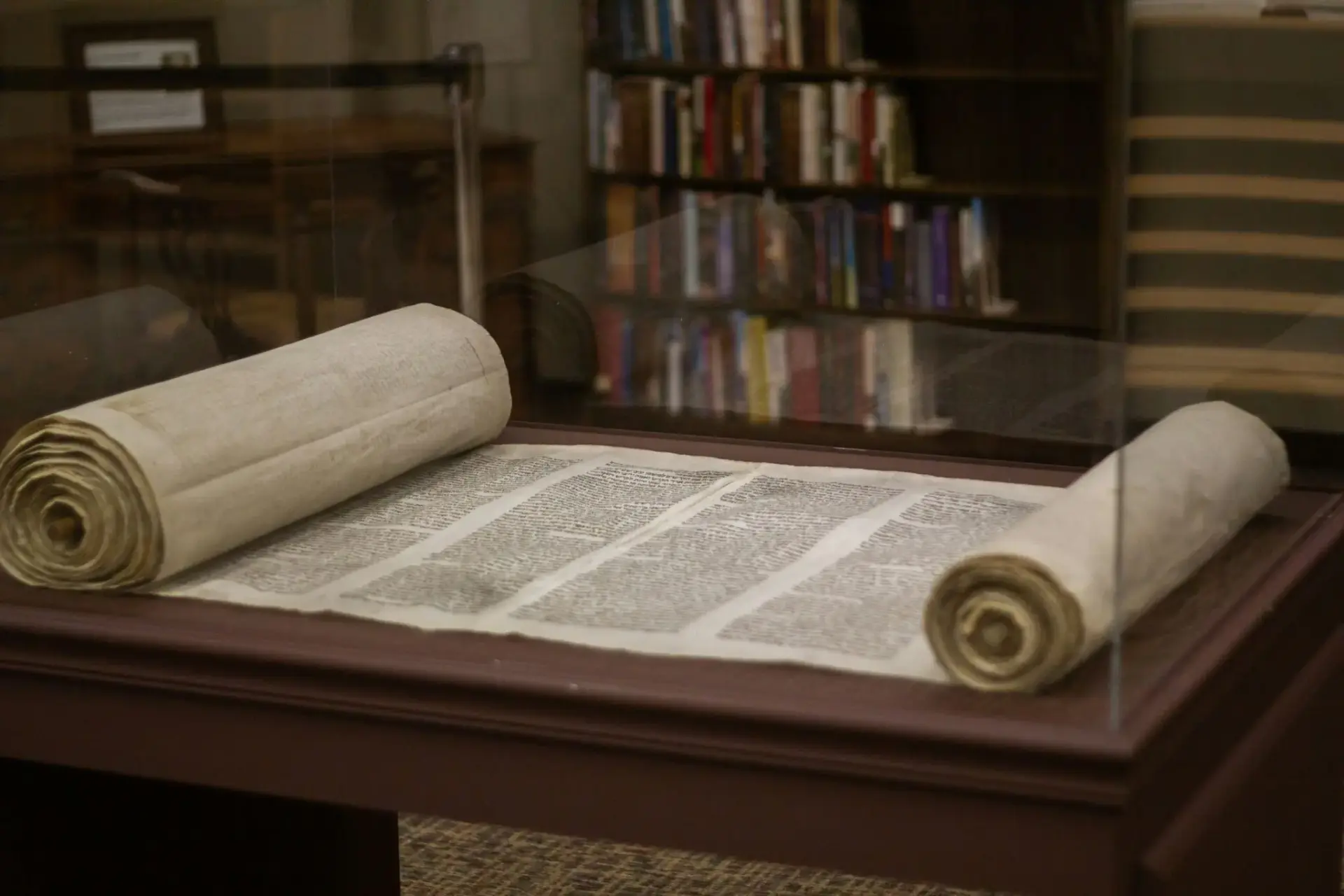 Manuscrito enrollado en una vitrina papiros de Herculano