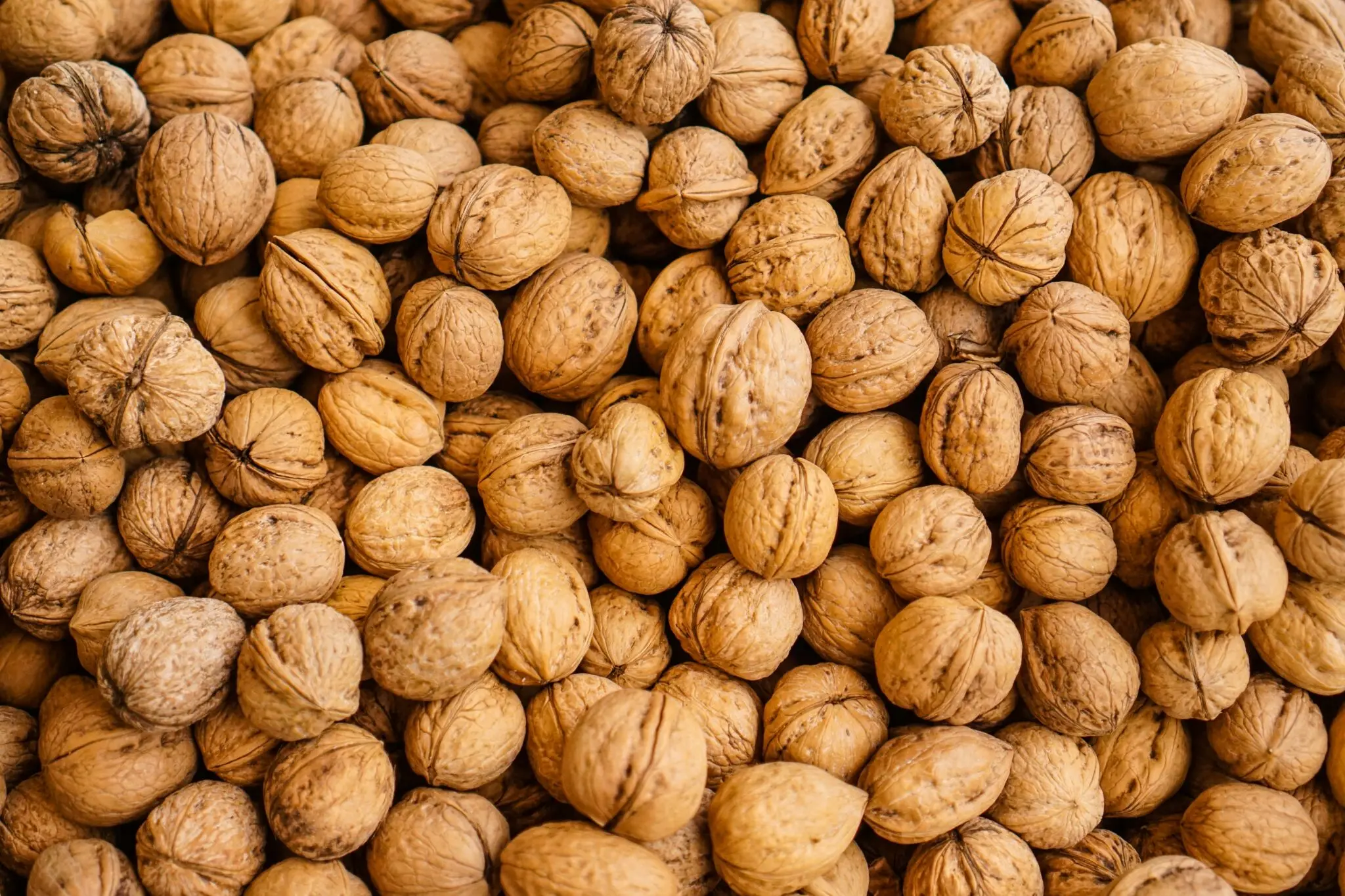 Un puñado diario de nueces omega 3: el gesto que equilibra tu dieta y apoya la recuperación 1 Merca2 nueces beneficios
