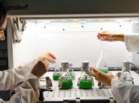 Manipulación de matraces en laboratorio Dos personas con batas manipulan matraces con líquido verde bajo una campana de laboratorio.