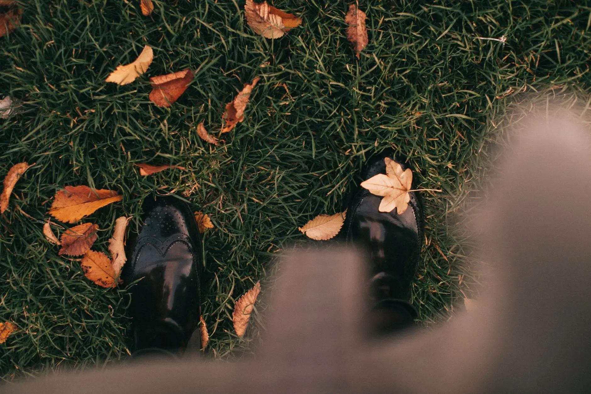 Botas negras sobre hierba verde con hojas de otoño esparcidas, ofreciendo una vibra acogedora de otoño.
