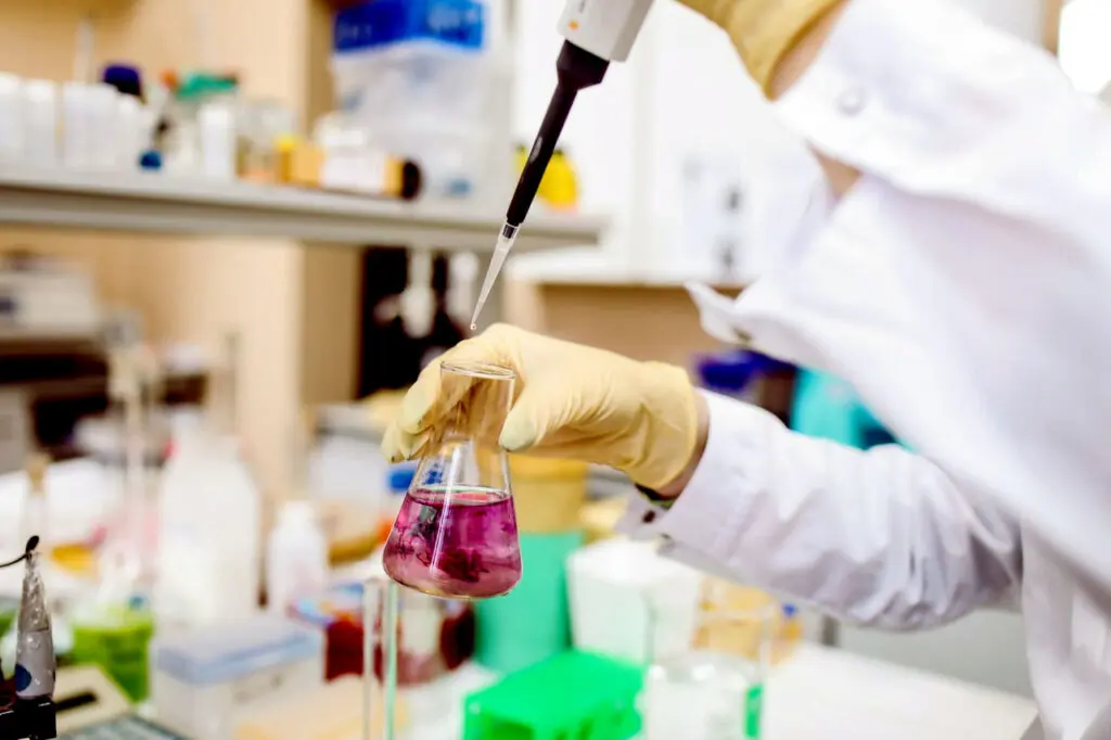Pipeta y matraz con líquido rosa Una mano enguantada utiliza una pipeta sobre un matraz con líquido rosa en un laboratorio.