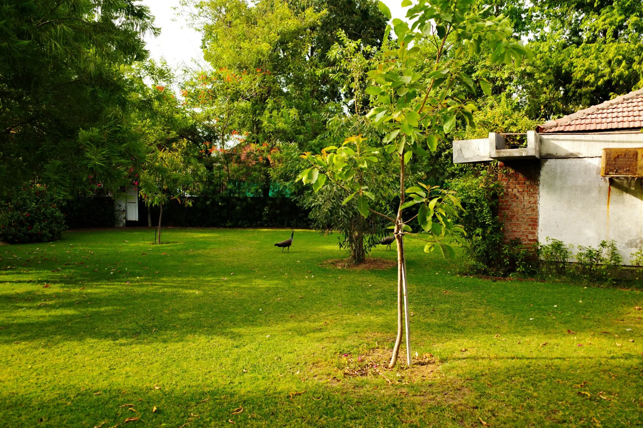 real estate patrimonial