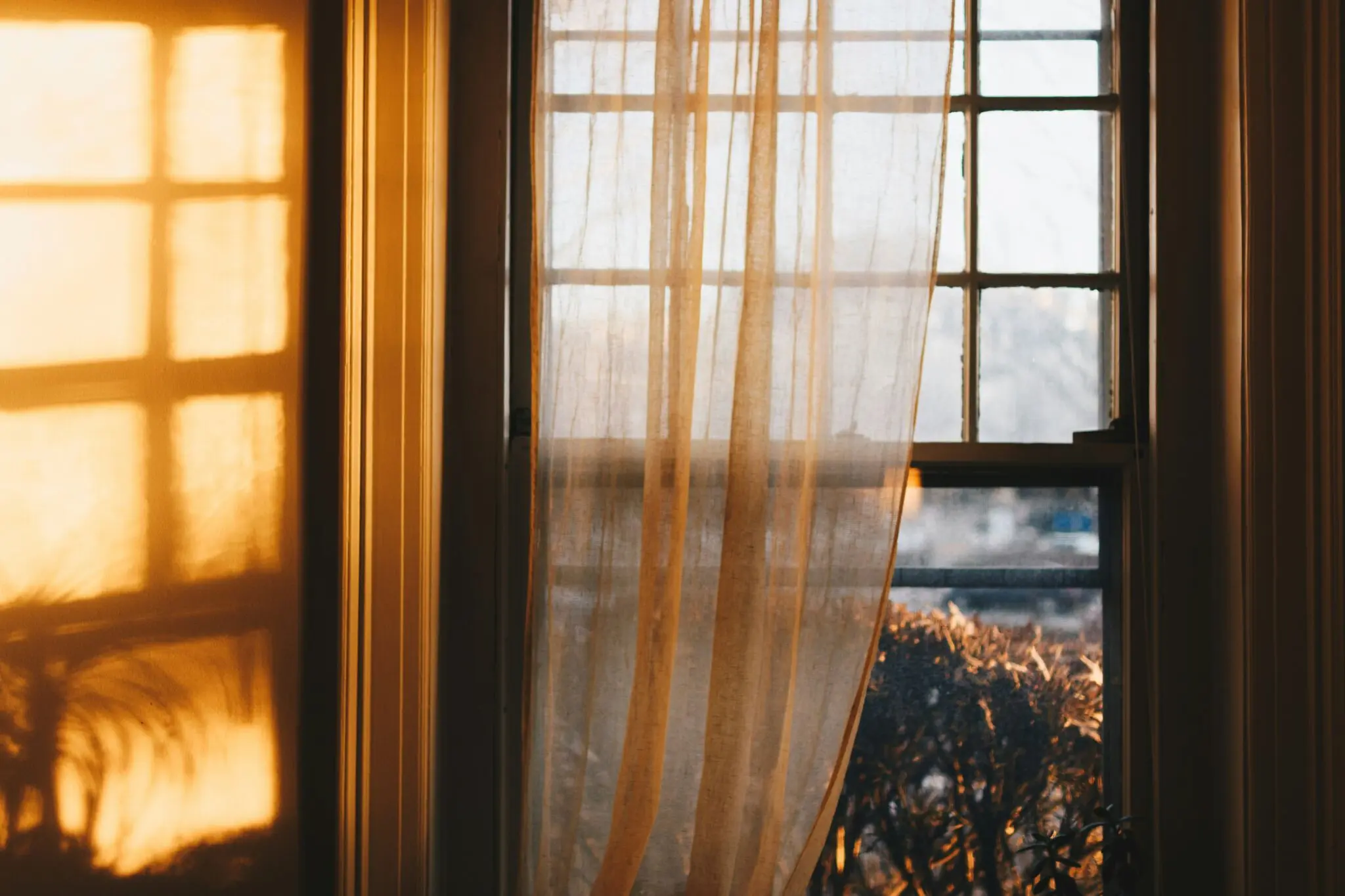 40 días sin relojes en una cueva: cómo la luz matinal y los horarios fijos anclan tu ritmo circadiano 1 Merca2 reloj interno