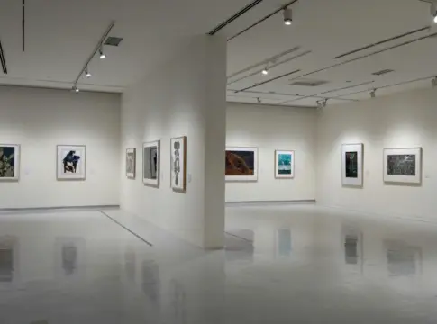 Sala de galería con obras enmarcadas Jogen Chowdhury fallece