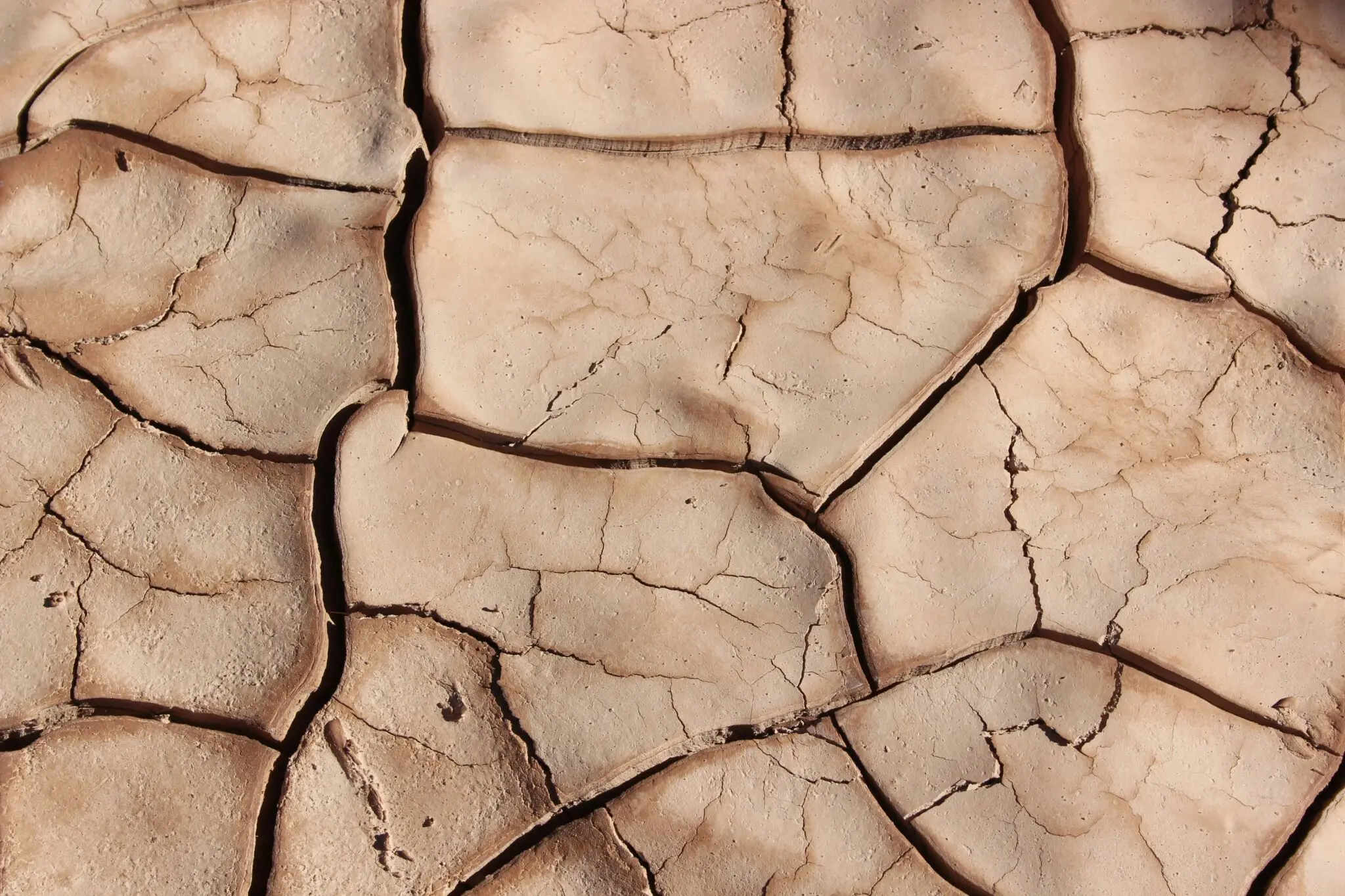 2026 registra el septiembre más cálido en España: 3,4 ºC por encima de la media 1 Merca2 récord de temperatura España