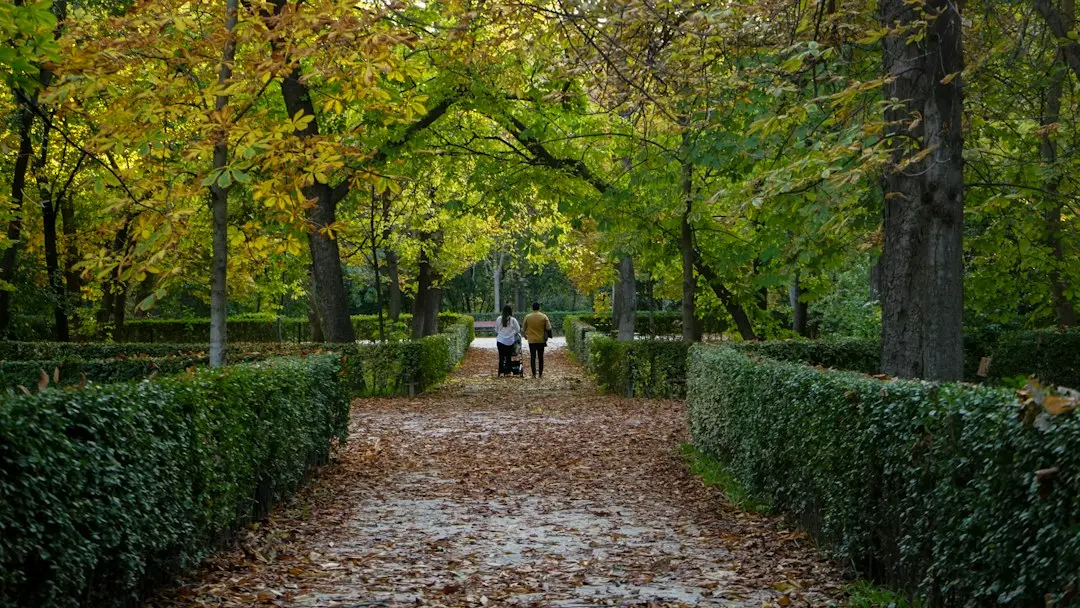 2 person walking on pathway between green trees during daytime