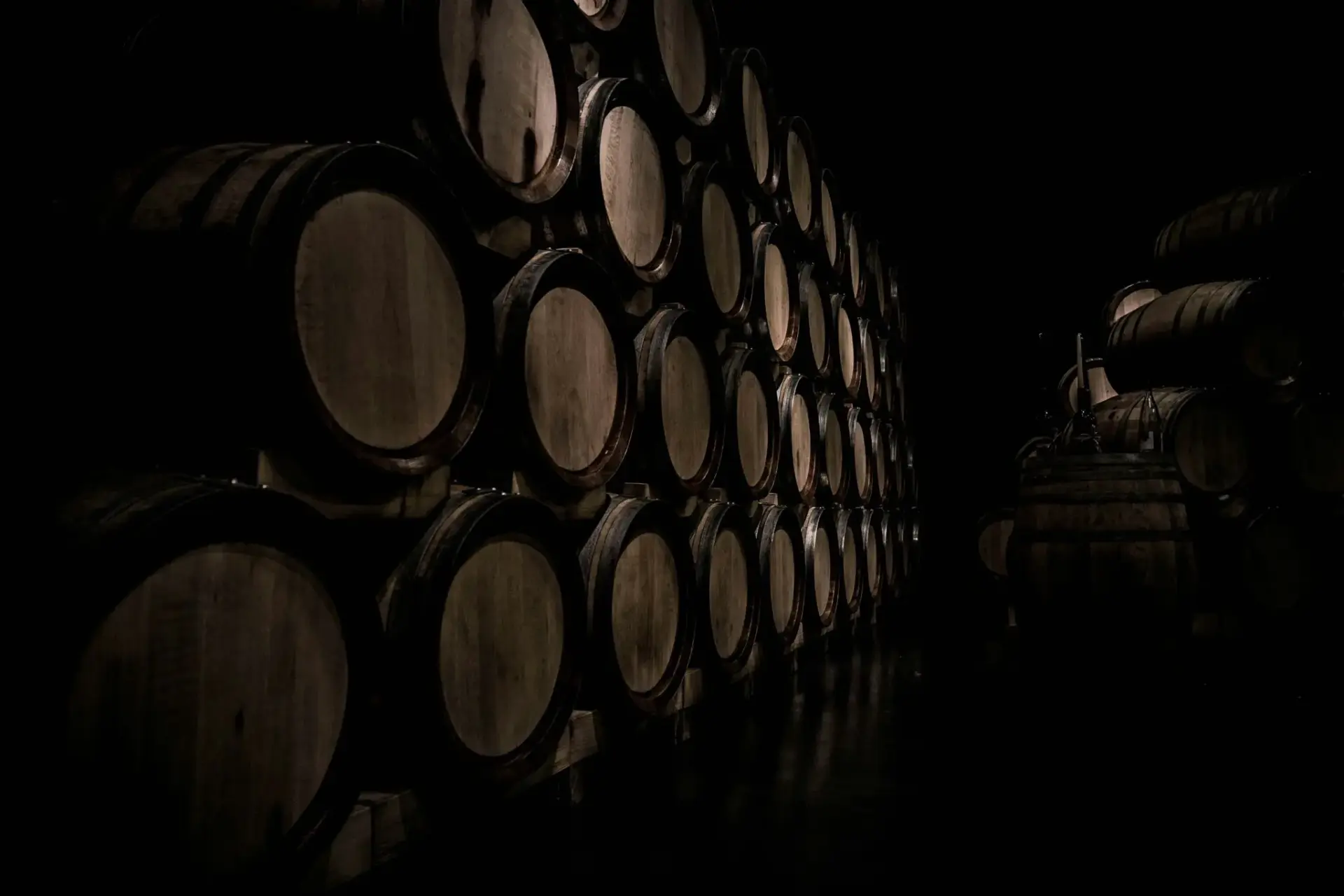 vega-sicilia-rias-baixas-albarino-invers-portada Vega Sicilia Rías Baixas